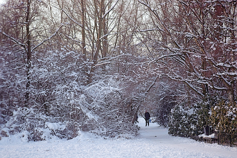 [foto 3-99-6-27 (size m)]