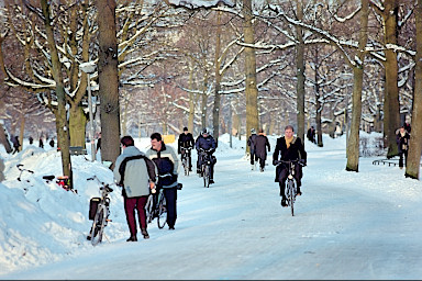 [foto 3-99-6-29 (size s)]