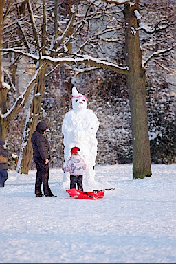 [foto 3-99-6-30 (size s)]